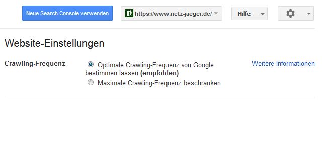Bevorzugte-Webseiteneinstellungen-in-der-Google-Search-Console